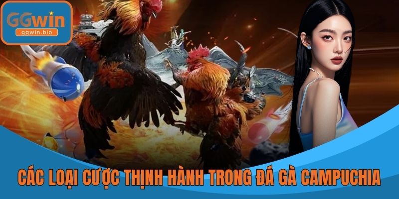 Các loại cược thịnh hành trong Đá gà Campuchia