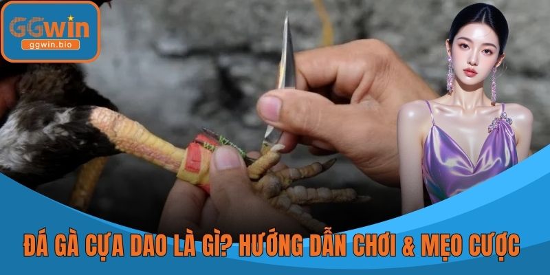 Đá Gà Cựa Dao Là Gì? Hướng Dẫn Chơi & Mẹo Cược