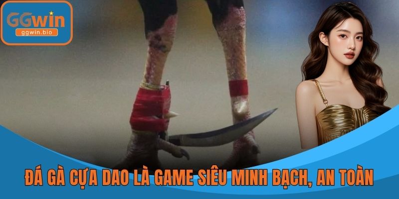 Đá gà cựa dao là game siêu minh bạch, an toàn