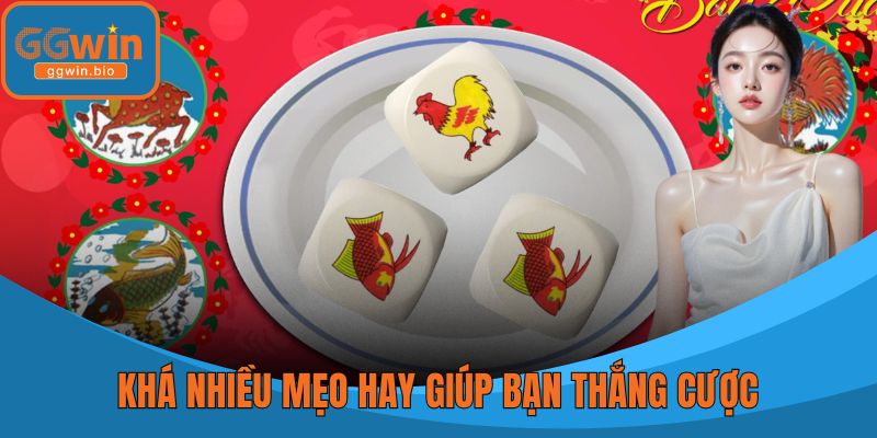 Khá nhiều mẹo hay giúp bạn thắng cược