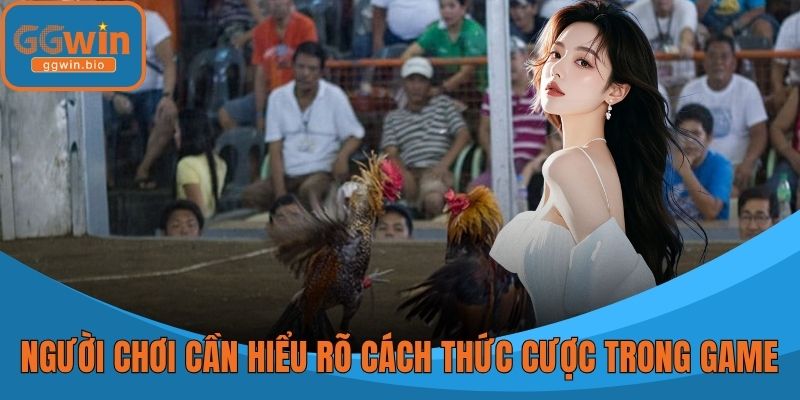 Người chơi cần hiểu rõ cách thức cược trong game